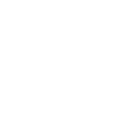 BSA Logo